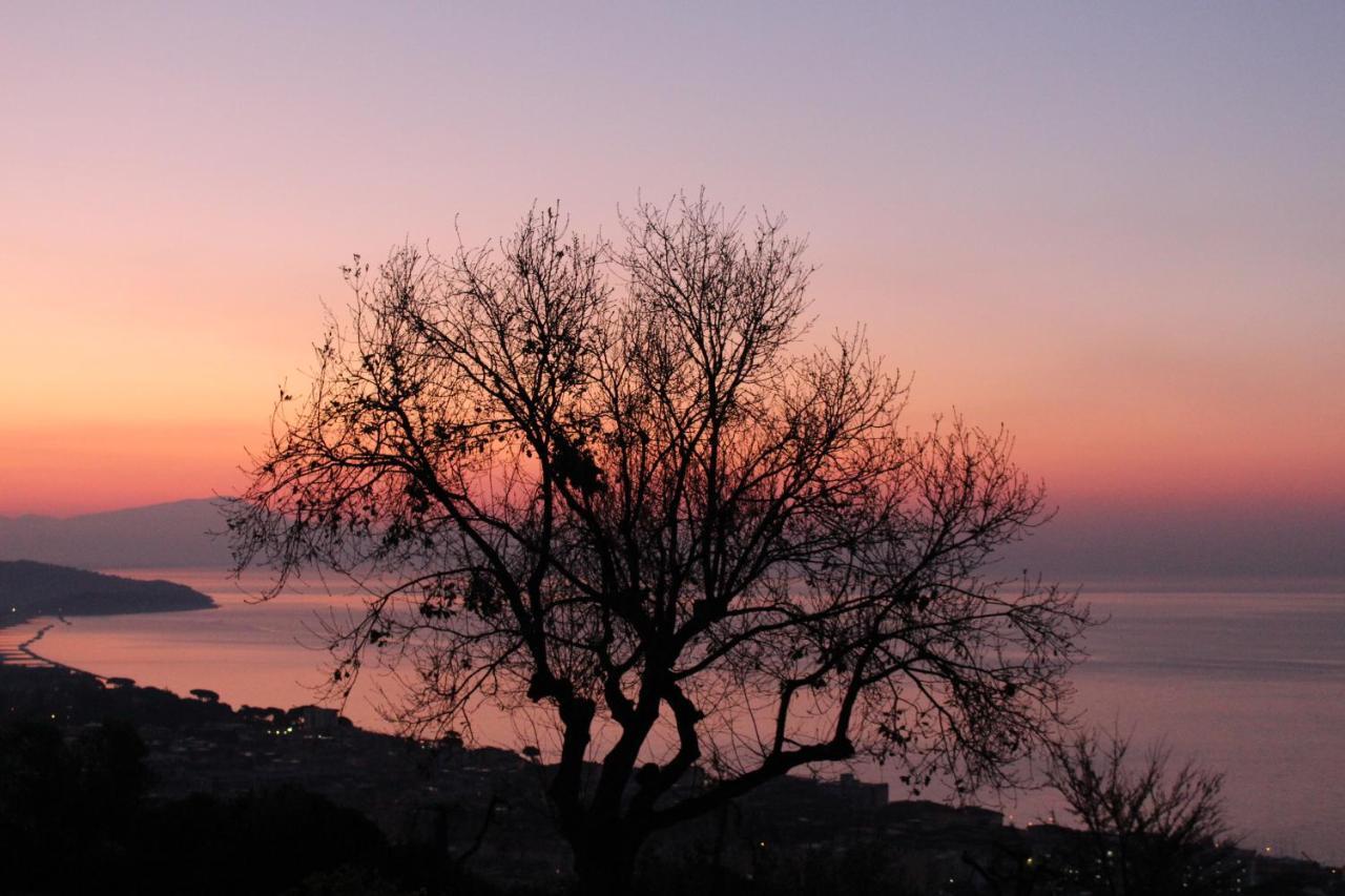 Villa Treglia B&B Φόρμια Εξωτερικό φωτογραφία